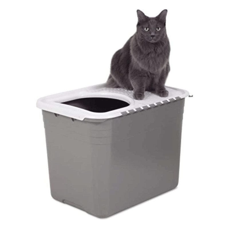Caja para Gatos Caja para Gatos